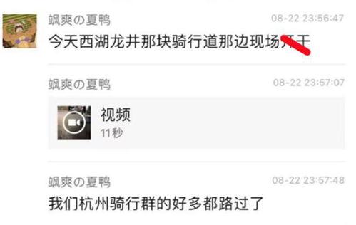 吃瓜最新消息爆料视频,最新视频揭秘惊人内幕