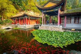 苏州景点爆料事件最新,揭秘隐藏的绝美角落与不为人知的秘密